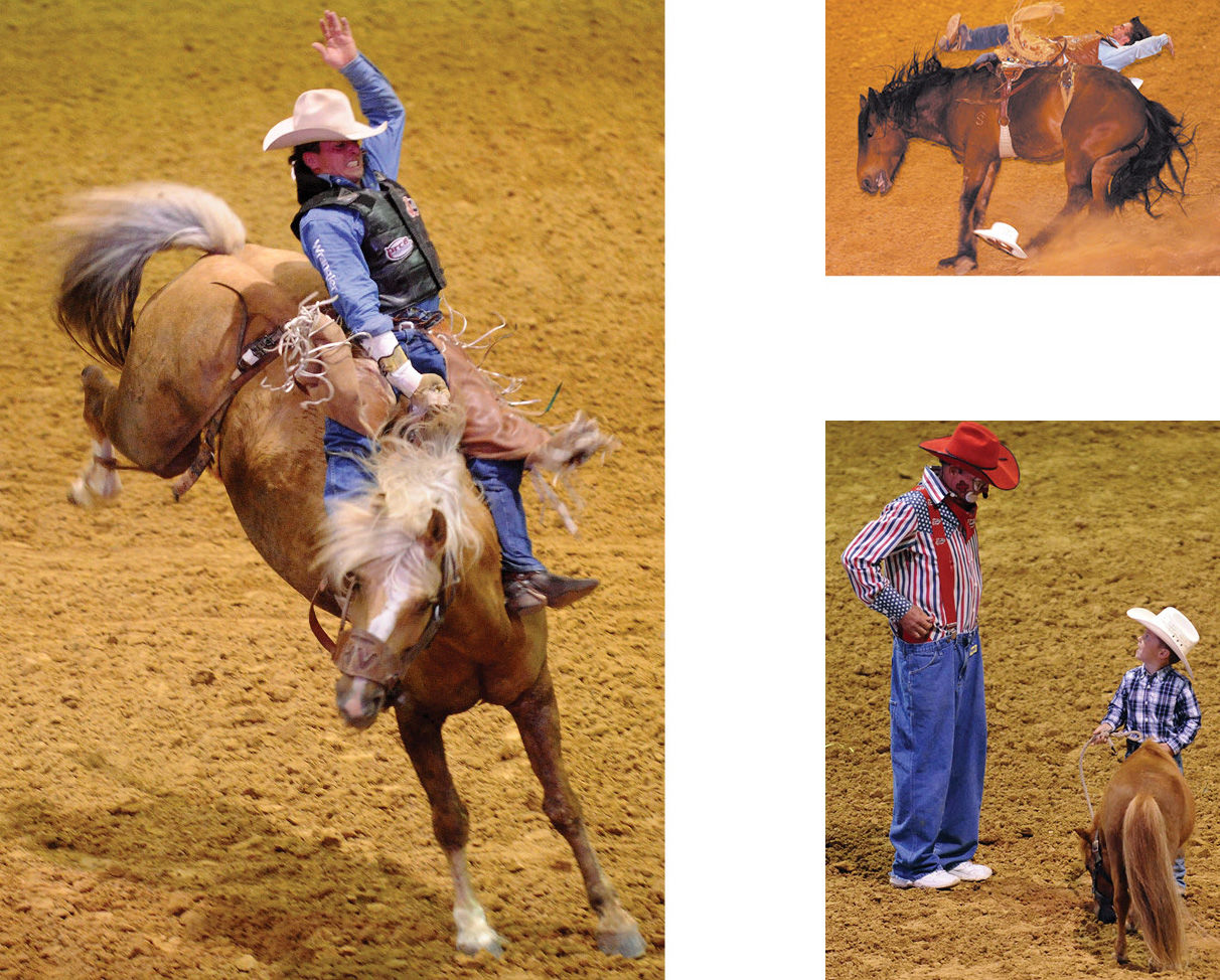 The Angelina Benefit Rodeo